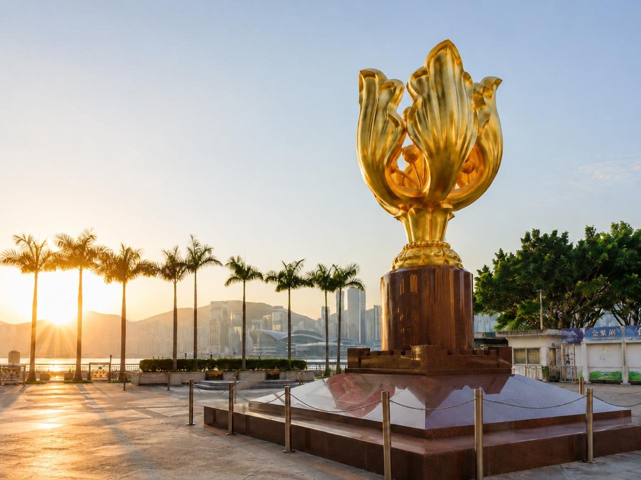 National Day Cup Judo Championship 2026 Set for 4 October in Tsuen Wan