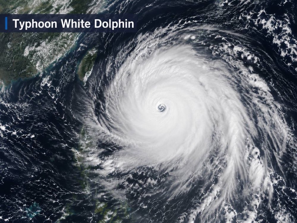 Typhoon Dolphin Asia Flights